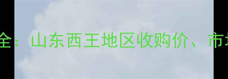 图片 山东玉米价格走势全：山东西王地区收购价、市场动态及未来预测1