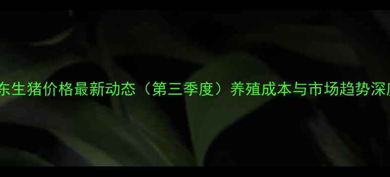 图片 山东生猪价格最新动态（第三季度）养殖成本与市场趋势深度1