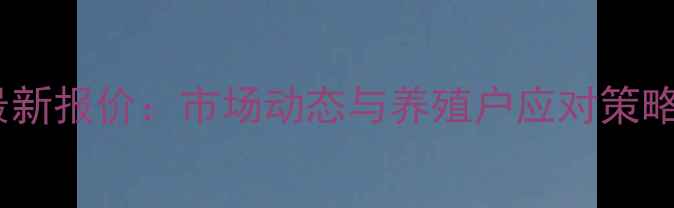 图片 山东省今日肉鸡价格最新报价：市场动态与养殖户应对策略分析（附详细数据）1