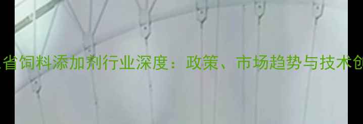 图片 山东省饲料添加剂行业深度：政策、市场趋势与技术创新1