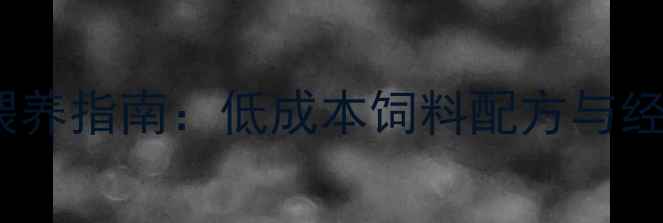 图片 山东红公鸡科学喂养指南：低成本饲料配方与经济效益最大化全1