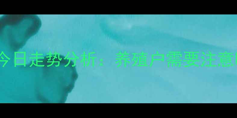 图片 山东肉毛鸡价格今日走势分析：养殖户需要注意哪些关键指标？1