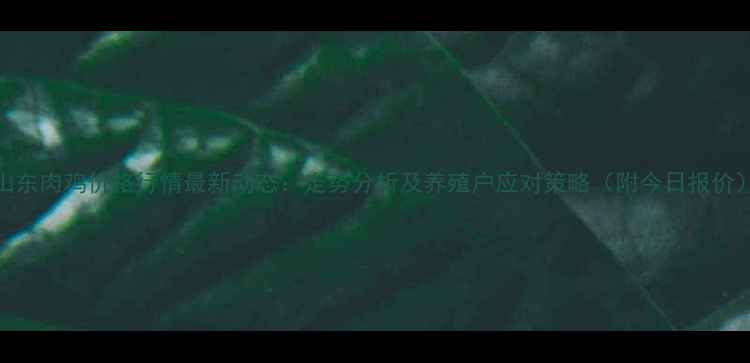 图片 山东肉鸡价格行情最新动态：走势分析及养殖户应对策略（附今日报价）