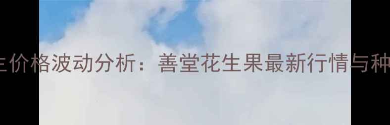 图片 山东花生价格波动分析：善堂花生果最新行情与种植建议2