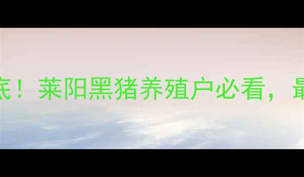 图片 山东青岛猪价格大起底！莱阳黑猪养殖户必看，最新行情+养殖成本全2