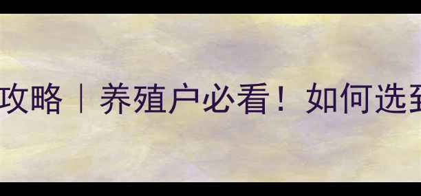 图片 山东饲料盐价格最新攻略｜养殖户必看！如何选到高性价比饲料盐？1