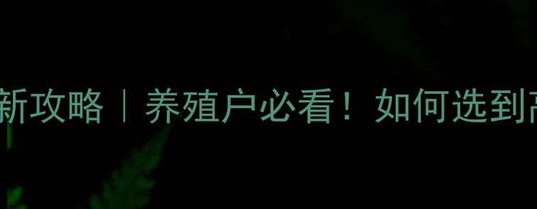 图片 山东饲料盐价格最新攻略｜养殖户必看！如何选到高性价比饲料盐？2