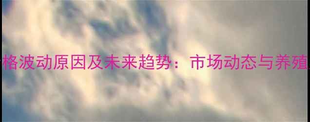 图片 山东鸡蛋价格波动原因及未来趋势：市场动态与养殖户应对策略