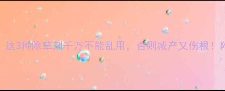 图片 山药种植必看！这3种除草剂千万不能乱用，否则减产又伤根！附安全使用攻略