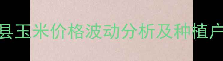 图片 山西沁水县玉米价格波动分析及种植户应对策略