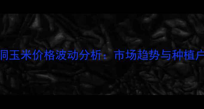 图片 山西省洪洞玉米价格波动分析：市场趋势与种植户应对策略