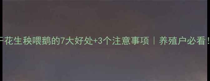 图片 干花生秧喂鹅的7大好处+3个注意事项｜养殖户必看！