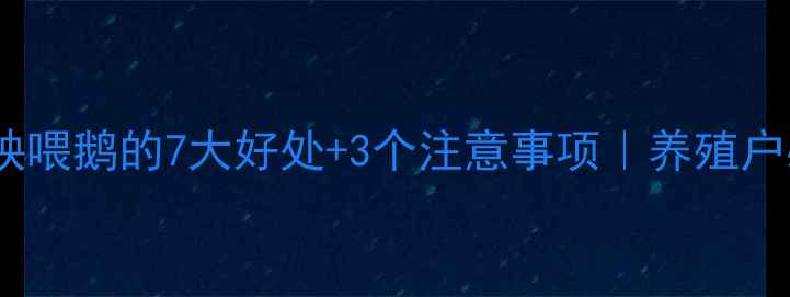 图片 干花生秧喂鹅的7大好处+3个注意事项｜养殖户必看！1
