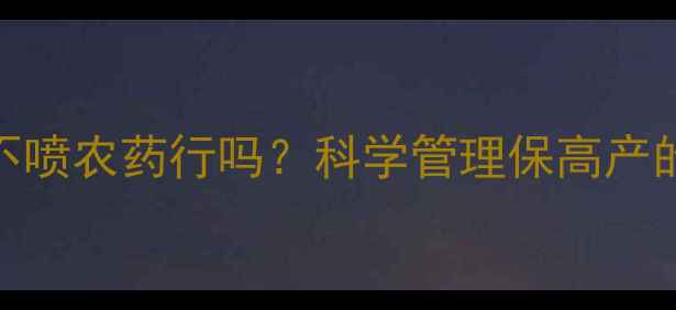 图片 平菇种植不喷农药行吗？科学管理保高产的正宗方法