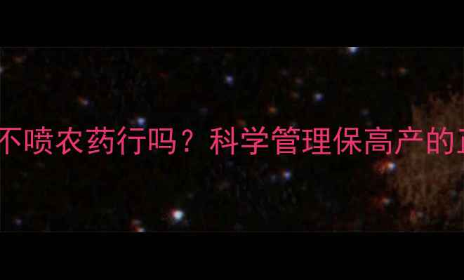 图片 平菇种植不喷农药行吗？科学管理保高产的正宗方法1