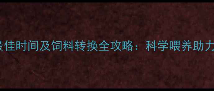 图片 幼兔断奶最佳时间及饲料转换全攻略：科学喂养助力健康生长2