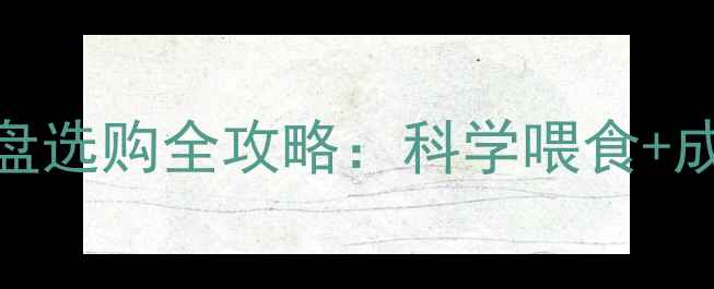 图片 广东养殖户必看！小猪饲料盘选购全攻略：科学喂食+成本控制+养殖效益提升指南2