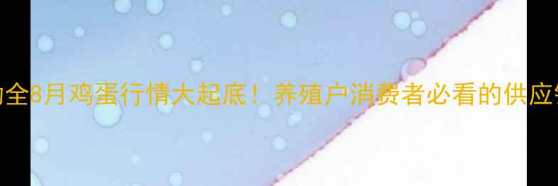 图片 广州鸡蛋价格波动全8月鸡蛋行情大起底！养殖户消费者必看的供应链变局与消费趋势