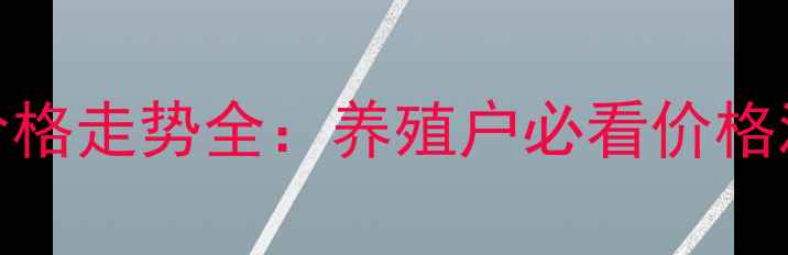 图片 广西来宾生猪价格走势全：养殖户必看价格波动与市场趋势