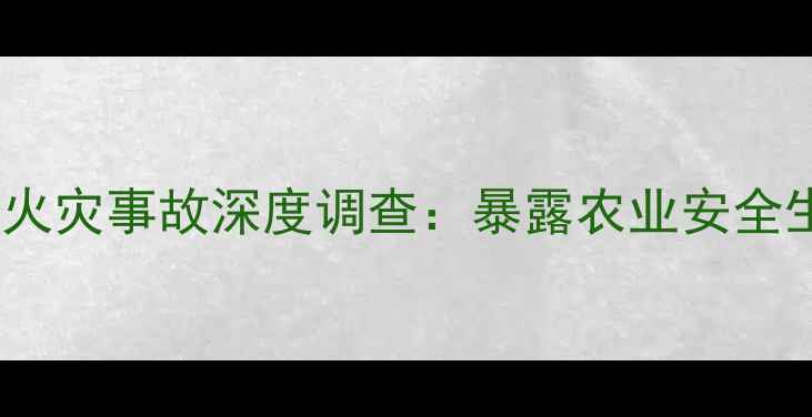 图片 广西金穗农药火灾事故深度调查：暴露农业安全生产五大隐患2