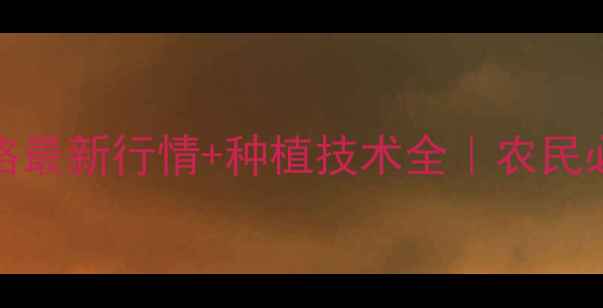 图片 康地5915价格最新行情+种植技术全｜农民必看省钱指南