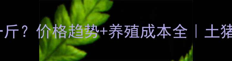 图片 徐州土猪肉多少钱一斤？价格趋势+养殖成本全｜土猪VS普通猪区别大！1