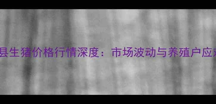 图片 徐州沛县生猪价格行情深度：市场波动与养殖户应对策略1