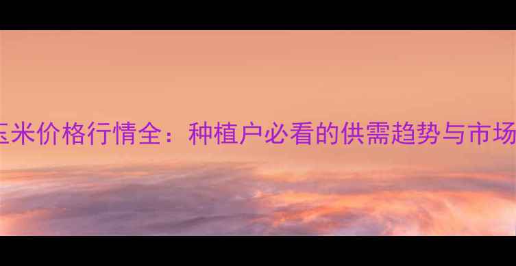 图片 德州玉米价格行情全：种植户必看的供需趋势与市场预测1