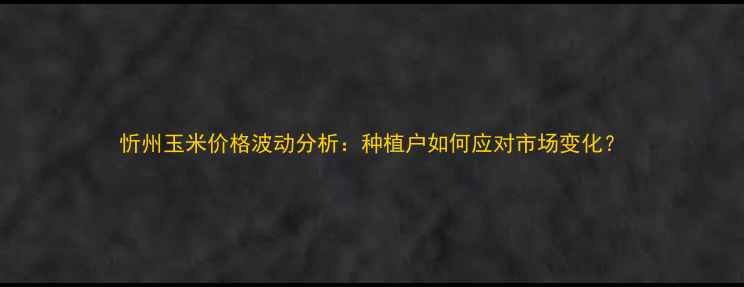 图片 忻州玉米价格波动分析：种植户如何应对市场变化？