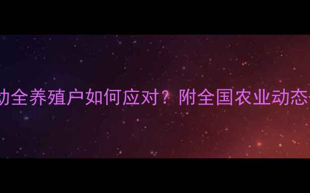 图片 成都猪肉价格波动全养殖户如何应对？附全国农业动态+政策补贴攻略🔥