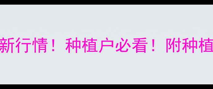 图片 抚顺玉米价格最新行情！种植户必看！附种植技术+销售攻略1