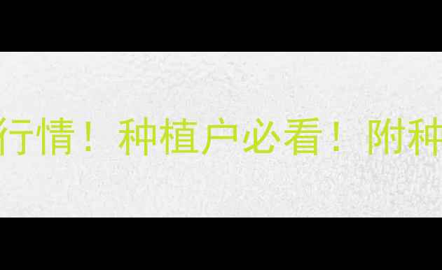 图片 抚顺玉米价格最新行情！种植户必看！附种植技术+销售攻略2