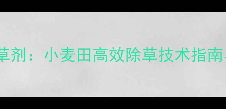 图片 拜耳骄马除草剂：小麦田高效除草技术指南与科学应用1