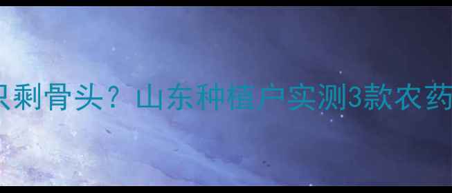 图片 救命！芹菜叶子被啃得只剩骨头？山东种植户实测3款农药，打虫效果绝了！🌱💪2