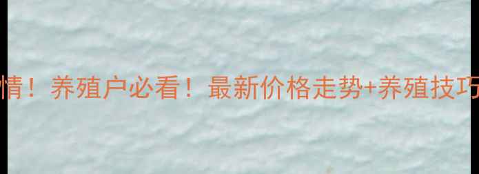 图片 文登生猪价格今日行情！养殖户必看！最新价格走势+养殖技巧分享（附详细数据）