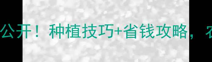 图片 斯斩农药价格大公开！种植技巧+省钱攻略，农民必看！🌾💰2