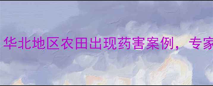 图片 新农药残留处理不当引担忧？华北地区农田出现药害案例，专家科学除药指南｜农业科技网2