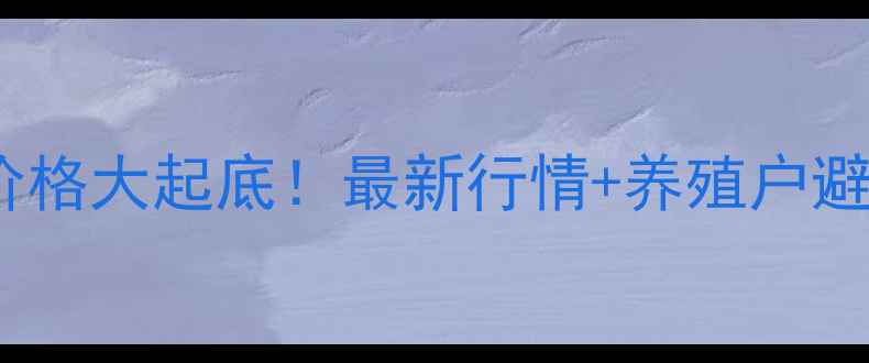 图片 新干县生猪价格大起底！最新行情+养殖户避坑指南🐷💰1