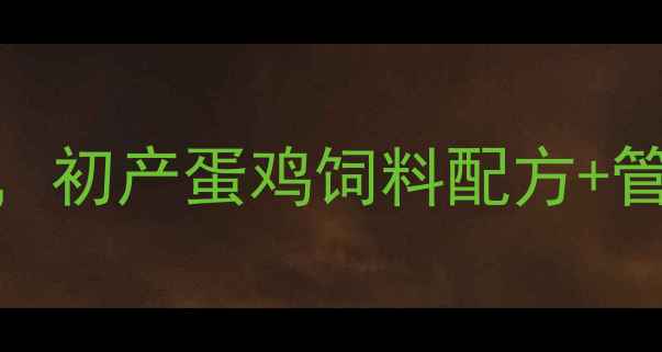 图片 新手必看！30天科学饲喂方案，初产蛋鸡饲料配方+管理要点全｜蛋鸡养殖避坑指南