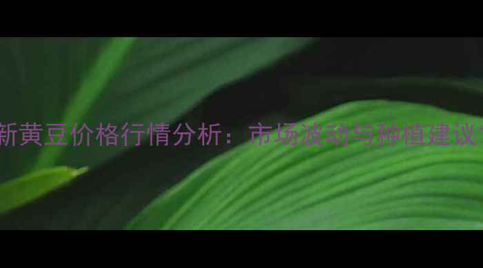 图片 新黄豆价格行情分析：市场波动与种植建议1