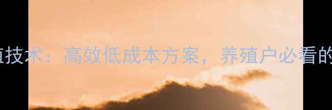 图片 无极鸡饲料养殖技术：高效低成本方案，养殖户必看的5大核心要点！