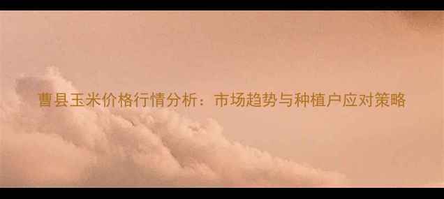 图片 曹县玉米价格行情分析：市场趋势与种植户应对策略