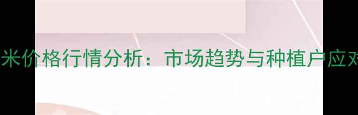 图片 曹县玉米价格行情分析：市场趋势与种植户应对策略2