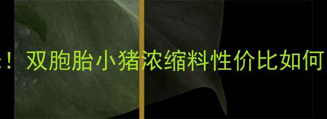 图片 最新价格表曝光！双胞胎小猪浓缩料性价比如何？养殖户必看！