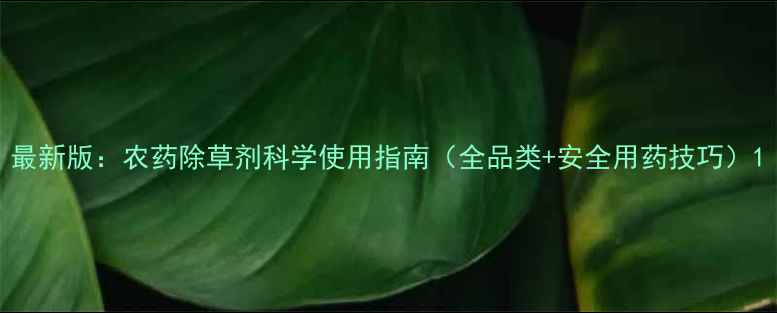 图片 最新版：农药除草剂科学使用指南（全品类+安全用药技巧）1