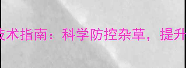 图片 最新芽前除草剂使用技术指南：科学防控杂草，提升作物产量种植户必看2