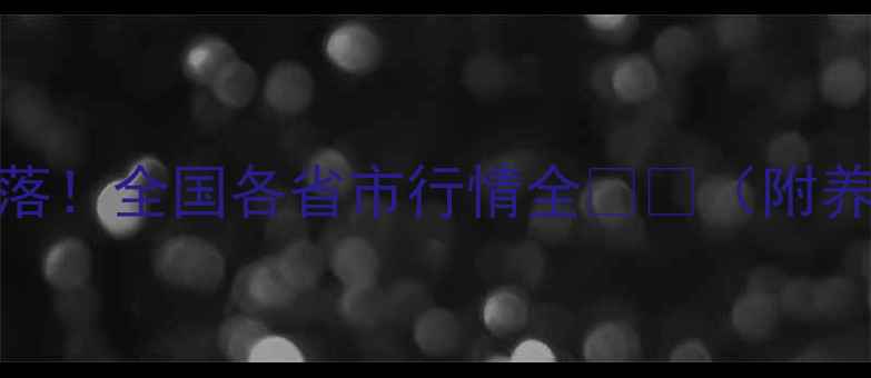 图片 最新鸡蛋价格大起大落！全国各省市行情全🍗📊（附养殖户必看应对指南）