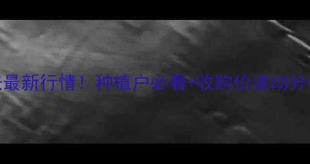 图片 朝阳县玉米价格表最新行情！种植户必看+收购价波动分析+补贴政策解读2