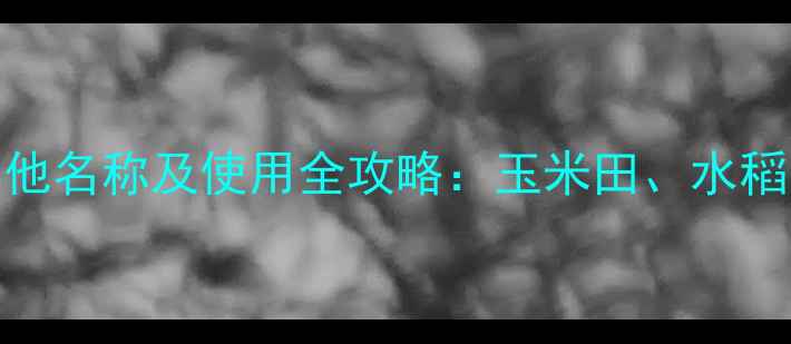 图片 杀草胺除草剂其他名称及使用全攻略：玉米田、水稻田怎么用更高效