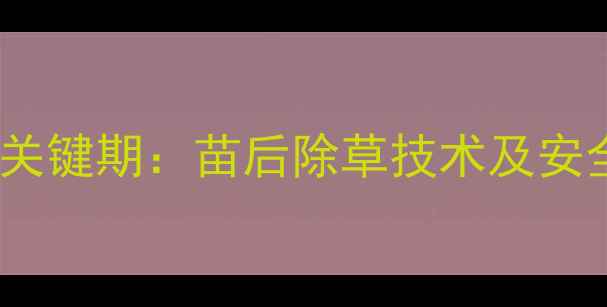 图片 板蓝根田管关键期：苗后除草技术及安全用药指南1